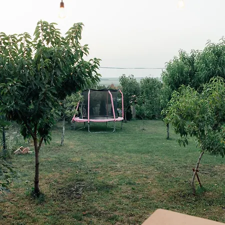 Sapat Vetra Vikendica Dom wakacyjny Vrsac